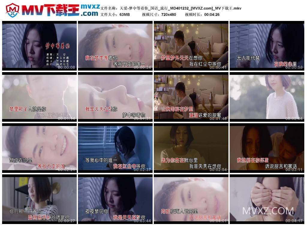 天爱-梦中等着你_国语_流行_MD401232